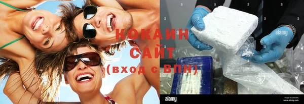 прущие грибы Алексин