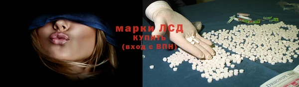 гидропоника Алзамай