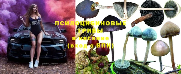 ГАЛЛЮЦИНОГЕННЫЕ ГРИБЫ Абинск