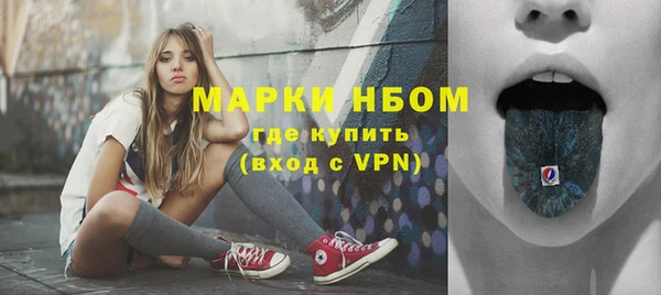 сатива Осташков