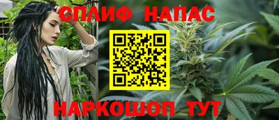 гашик Малоярославец