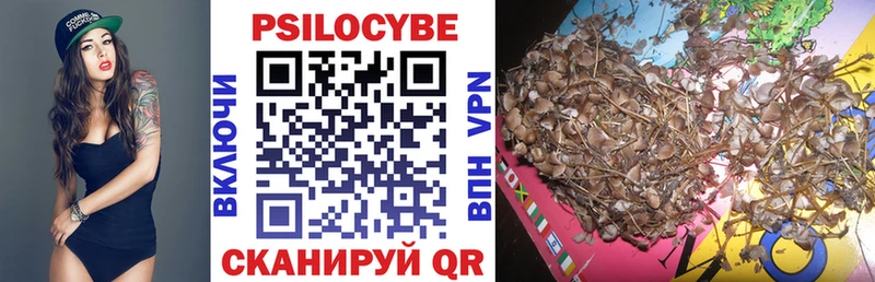 наркотики  Благовещенск  Псилоцибиновые грибы Psilocybe 